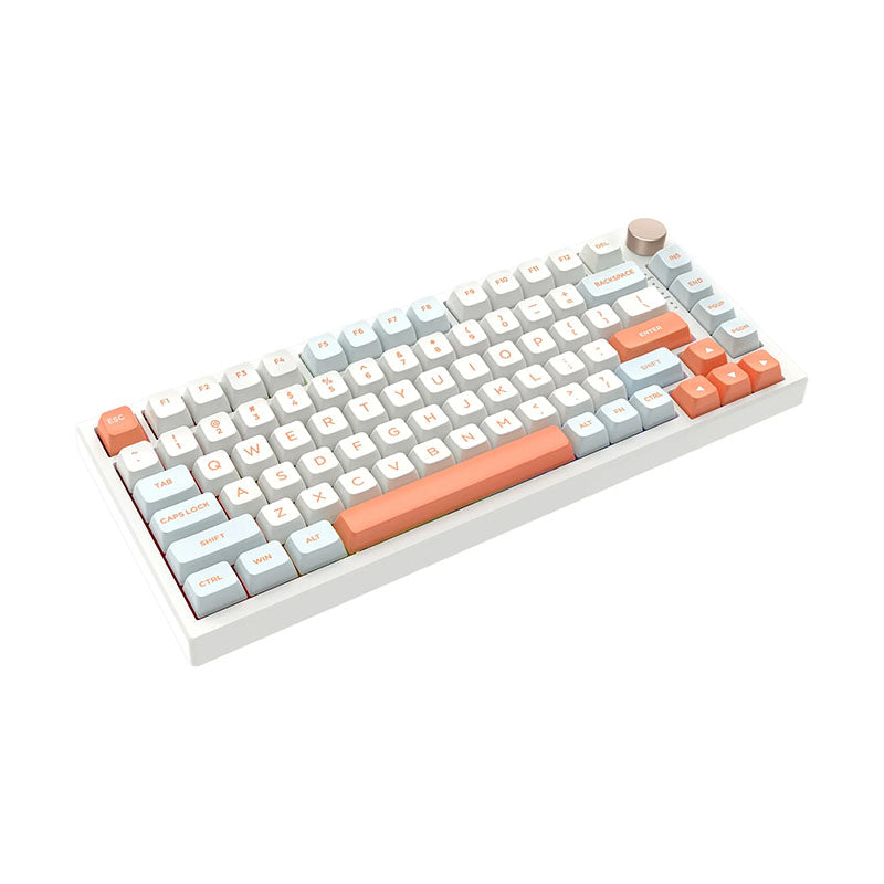VGN N75 PRO RGB red switch tianqing