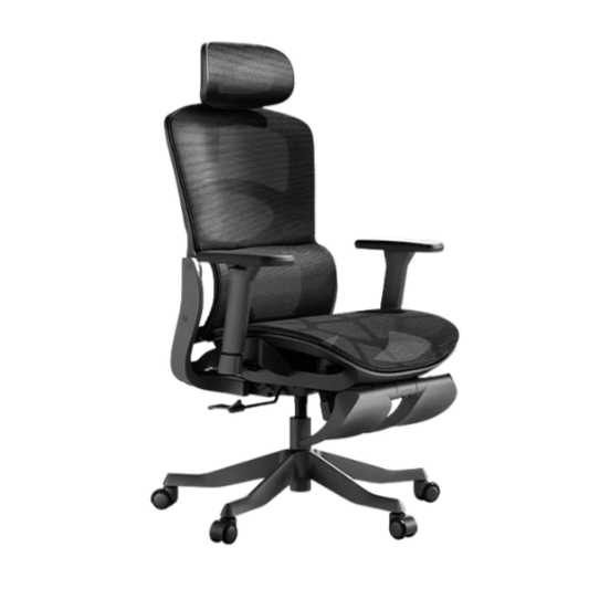 Autofull HBADA P2 Pro+ ergonomic chair