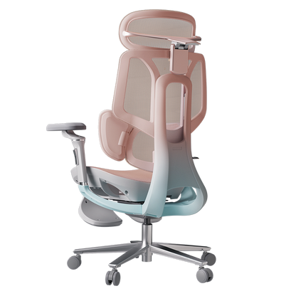 AutoFull HBADA E3 Pro 4.0 Ergonomic Office/Gaming Chair with Leg Rest (cherry blossom pink)