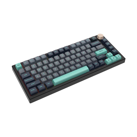 VGN N75 PRO RGB red switch zhengqibo